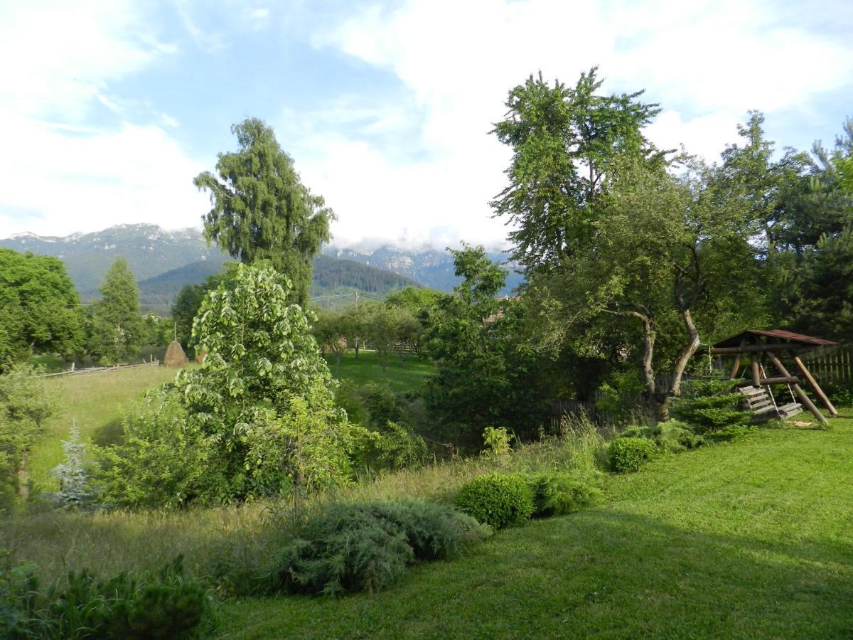 Cabana Festung Bran  Dış mekan fotoğraf