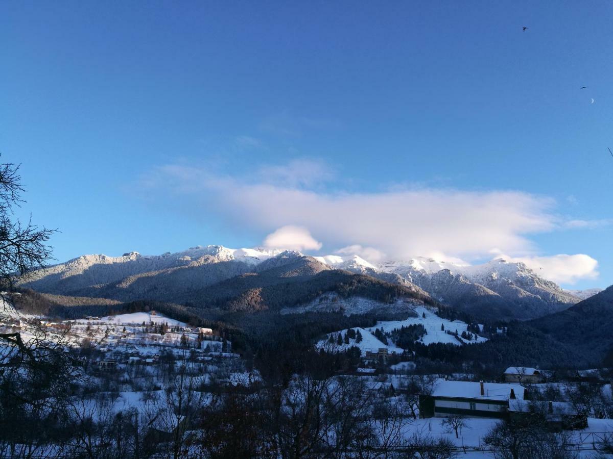 Cabana Festung Bran  Dış mekan fotoğraf