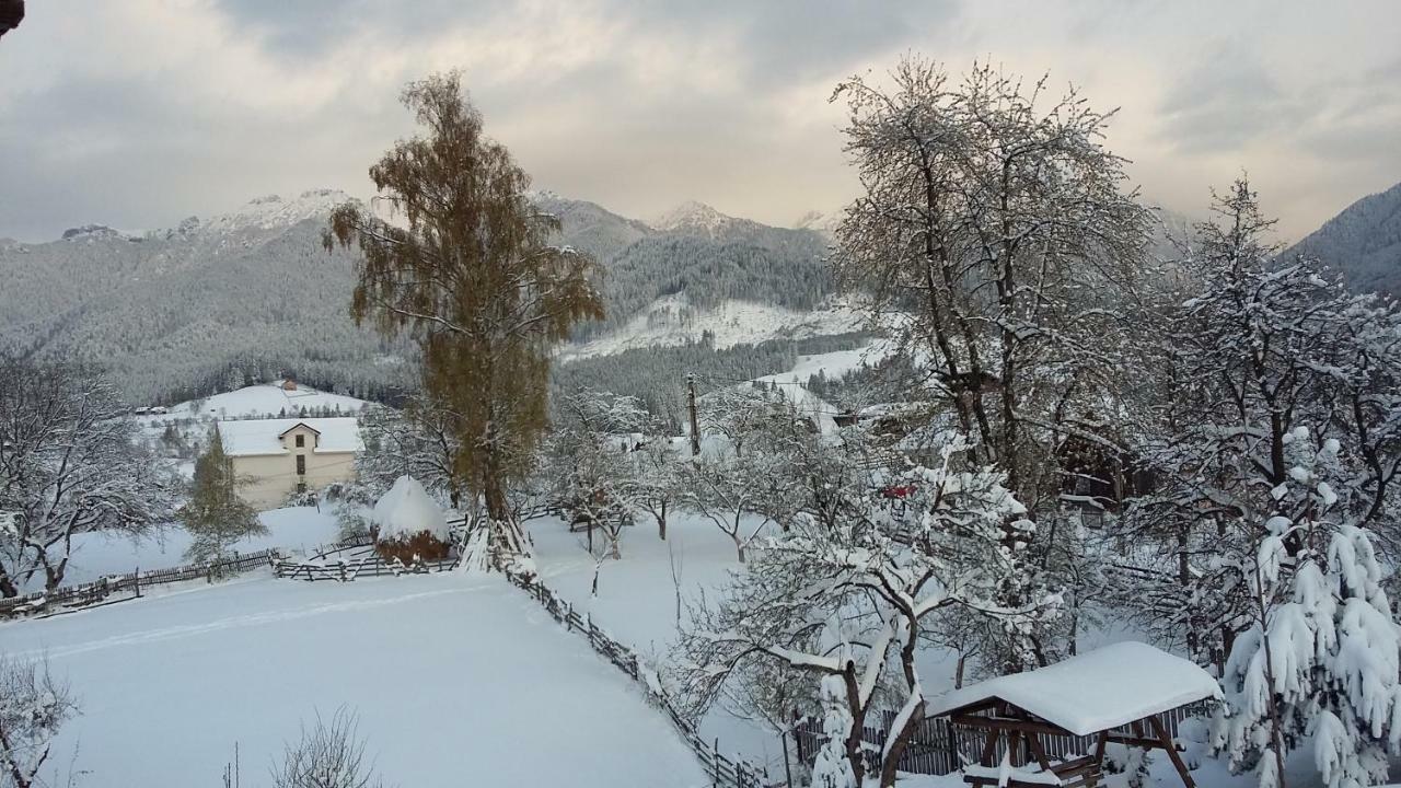 Cabana Festung Bran  Dış mekan fotoğraf