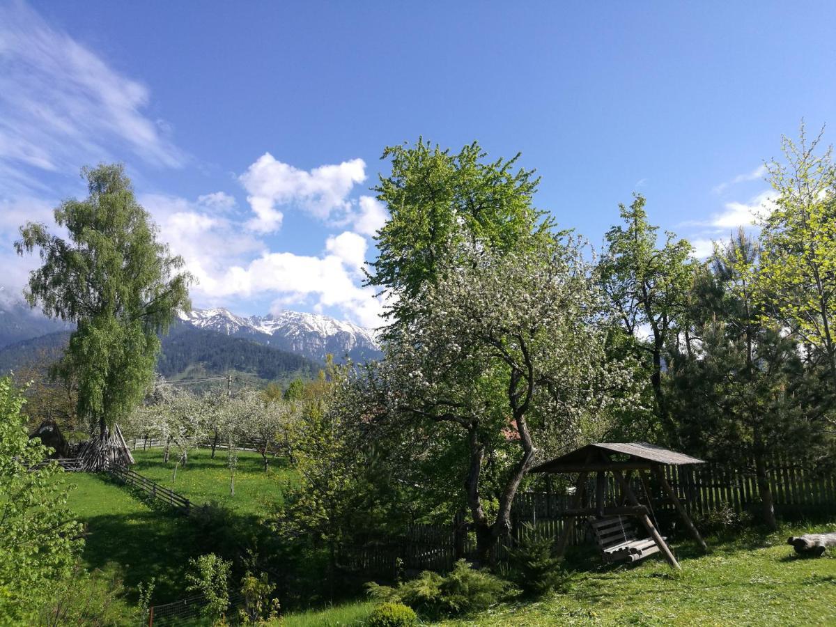 Cabana Festung Bran  Dış mekan fotoğraf