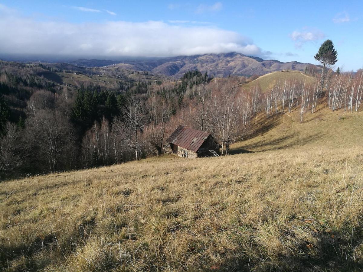Cabana Festung Bran  Dış mekan fotoğraf